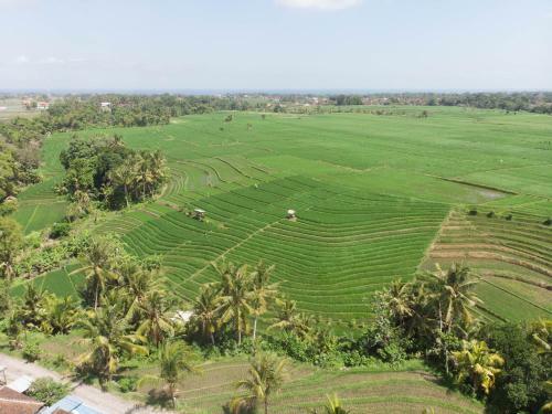 Hotel de Moksha Eco Friendly Boutique Resort
