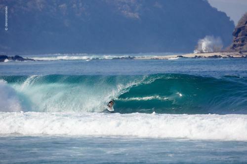 Whales And Waves