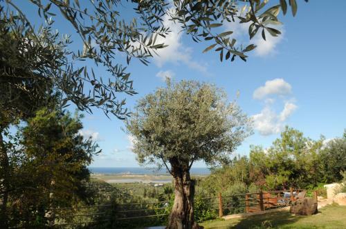 Bed & Breakfast Above The Sea