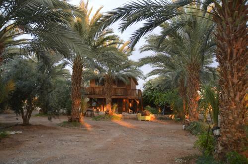 Lodge Shkutai Hottub Arava
