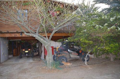 Lodge Shkutai Hottub Arava