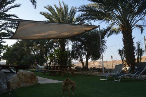 Lodge Shkutai Hottub Arava