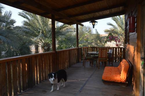 Lodge Shkutai Hottub Arava
