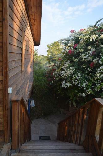 Lodge Shkutai Hottub Arava