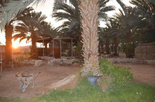 Lodge Shkutai Hottub Arava