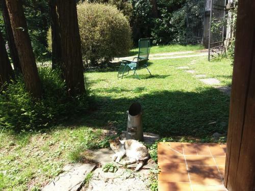 Bed & Breakfast La Patirana Guesthouse