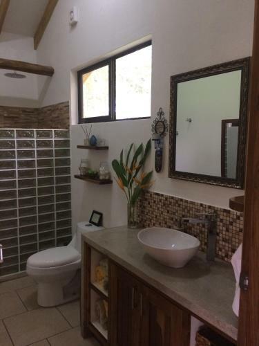Royal Palm Villa