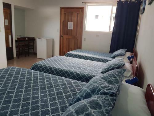 Hotel Grosseto Palma Real