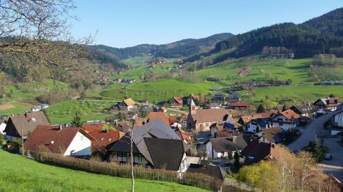 Apartamento Ferienwohnung Hohfelsenblick