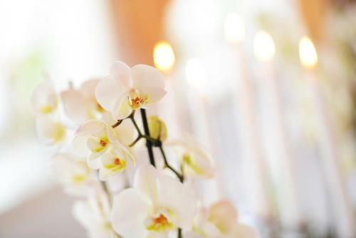 Hotel Goldenes Herz Sch�nbrunn