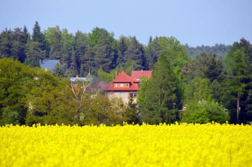 Apartamento Ferienwohnung Deutschmann