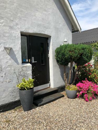 Bed & Breakfast Svalegaarden Guesthouse