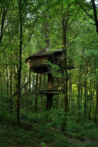Agroturismo L'arbre � Cabane