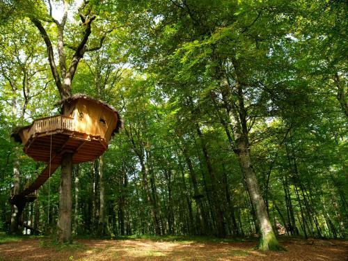 Agroturismo L'arbre � Cabane