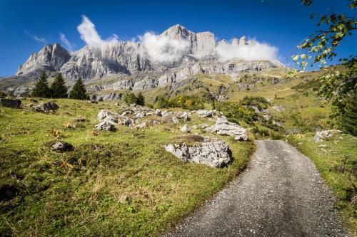 Les Edelweiss Mont-blanc B&B