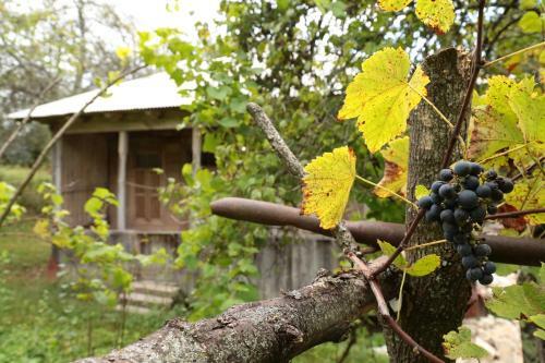 Albergue Kinchkha Wood House