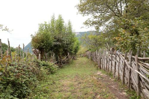 Albergue Kinchkha Wood House