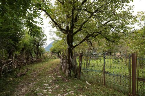 Albergue Kinchkha Wood House