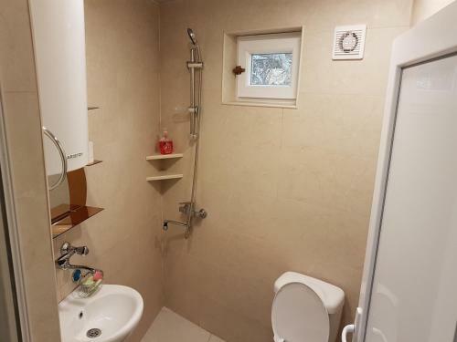 Hostal Guesthouse Robi