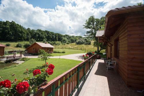 Hostal Vadmacska Vad�sz �s Vend�gh�z