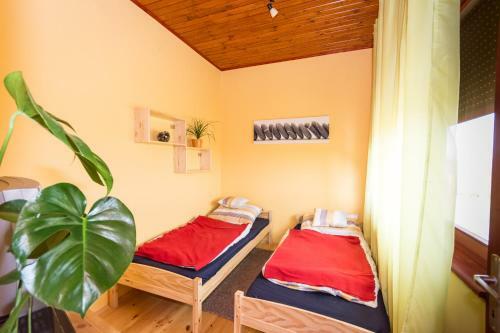Hostal Vadmacska Vad�sz �s Vend�gh�z