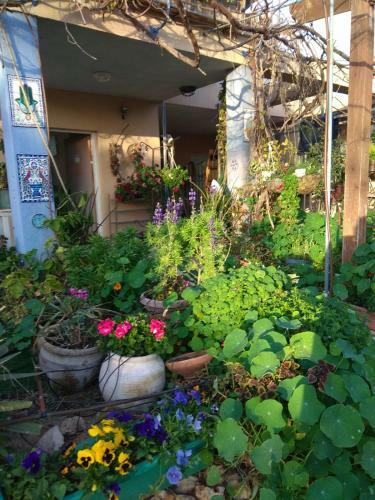 Agroturismo Kibbutz Ha'ogen