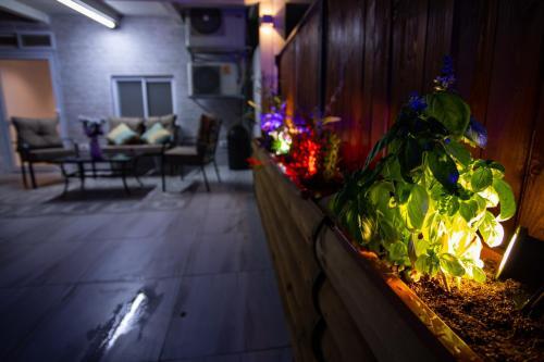 Orel Apartments - ????? ?????
