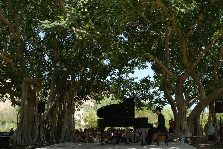 Ein Gedi Kibbutz Hotel