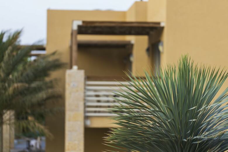 Ein Gedi Kibbutz Hotel