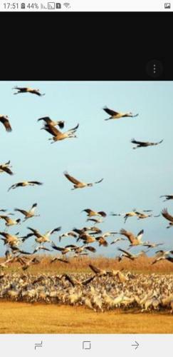 Savyon Apartment In Galilee