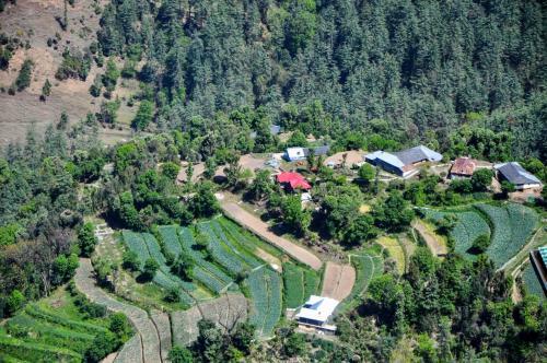 Hostal Westend Homestay Shimla