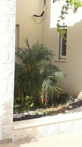 Lodge Sawsan's Suites