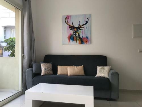 Apartments In Ha Kerem