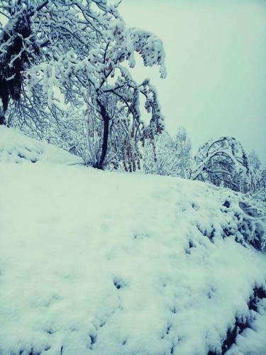 Hotel Island Pahalgam