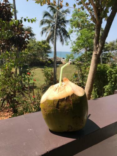 Hotel The First Place Yogaresort, Odayam