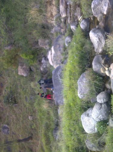 Hotel Centre Point Resorts & Club Palampur