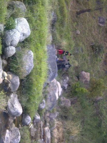 Hotel Centre Point Resorts & Club Palampur