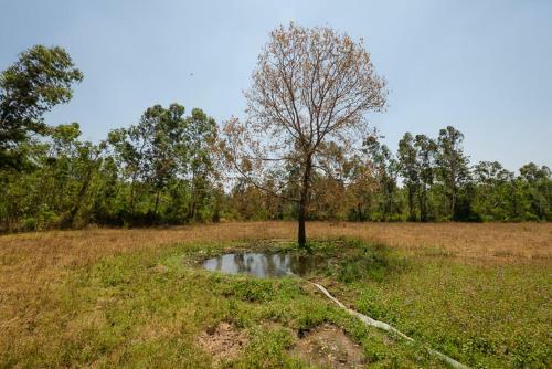 Hotel Upvan Wildlife Resort - Pura Stays