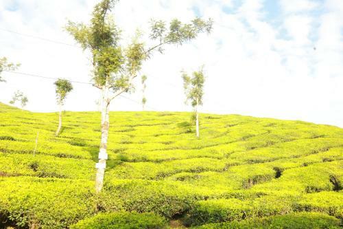 Hotel Casa Montana Munnar