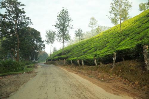 Hotel Casa Montana Munnar
