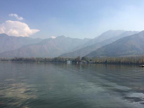 S Group Of Houseboat