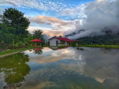 Hotel Balaut Resort