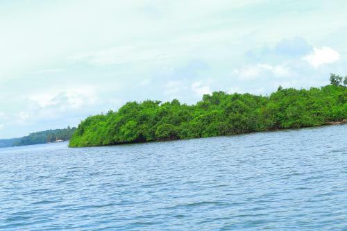 Agroturismo Pranavam Munroe Verdure