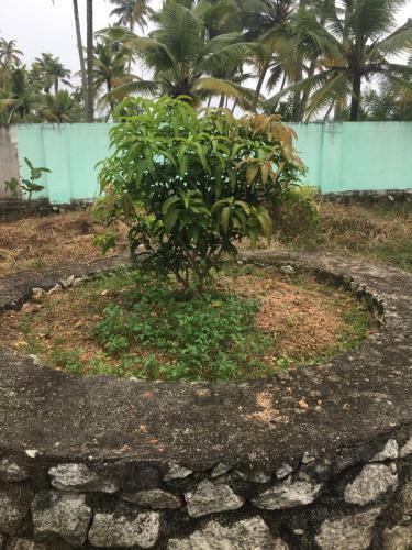 Agroturismo Pranavam Munroe Verdure