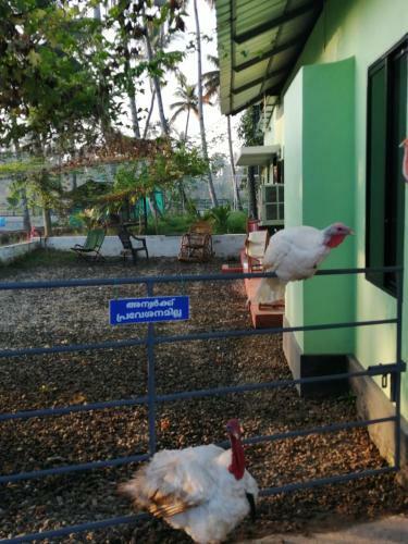 Agroturismo Pranavam Munroe Verdure