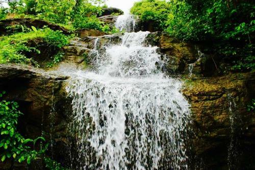 Hotel Giriraj Farm Hill Resort