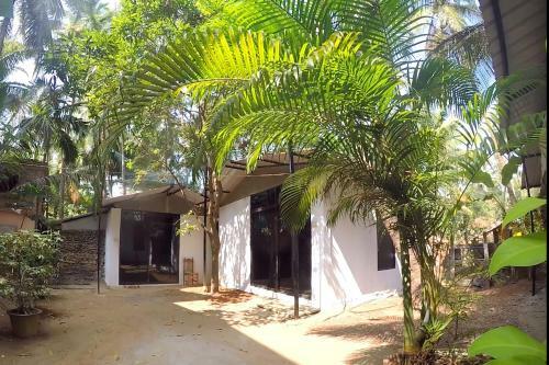 Hostal Maggies Ecohut 2