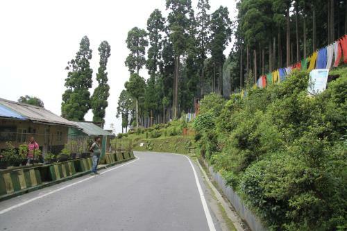 Vamoosetrail Lamahatta