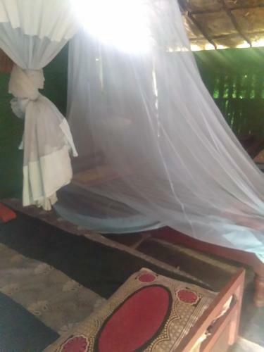 Hostal Backpakers House Hampi