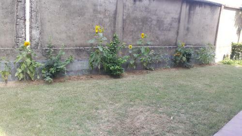 Shantiniketan Bungalow